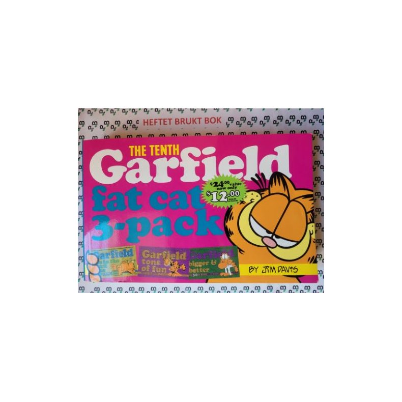 Jim Davis - Garfield (Fat cat 3-pack 10)