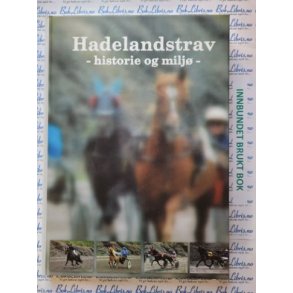 Jrn Haakenstad og Hkon Grymyr - Hadelandstrav - historie og milj
