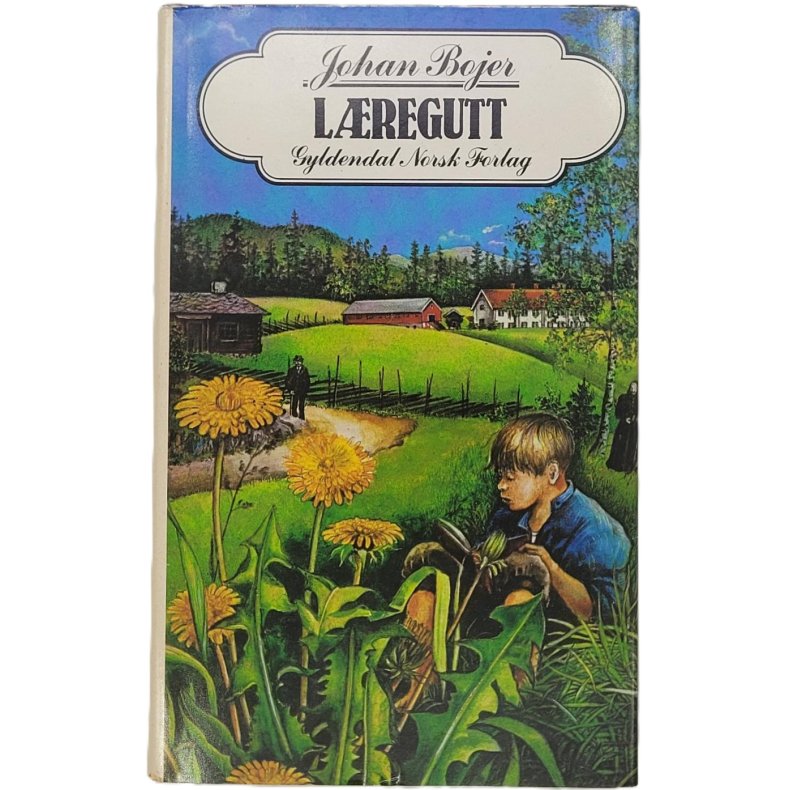 Johan Bojer - Lregutt