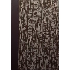 John Gi�ver - Rabagaster under Polarstjernen (Innbundet)