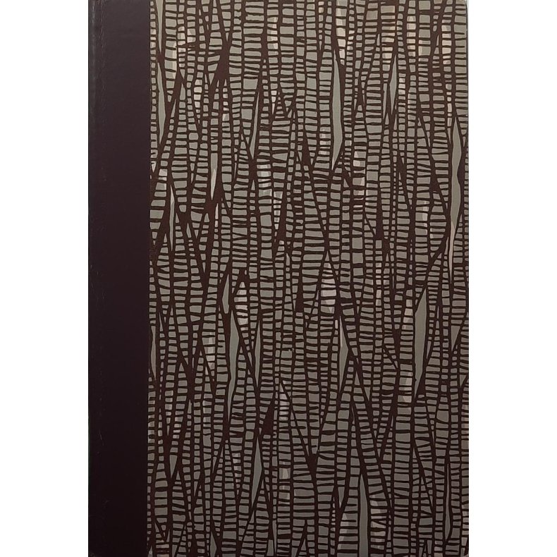 John Gi�ver - Rabagaster under Polarstjernen (Innbundet)