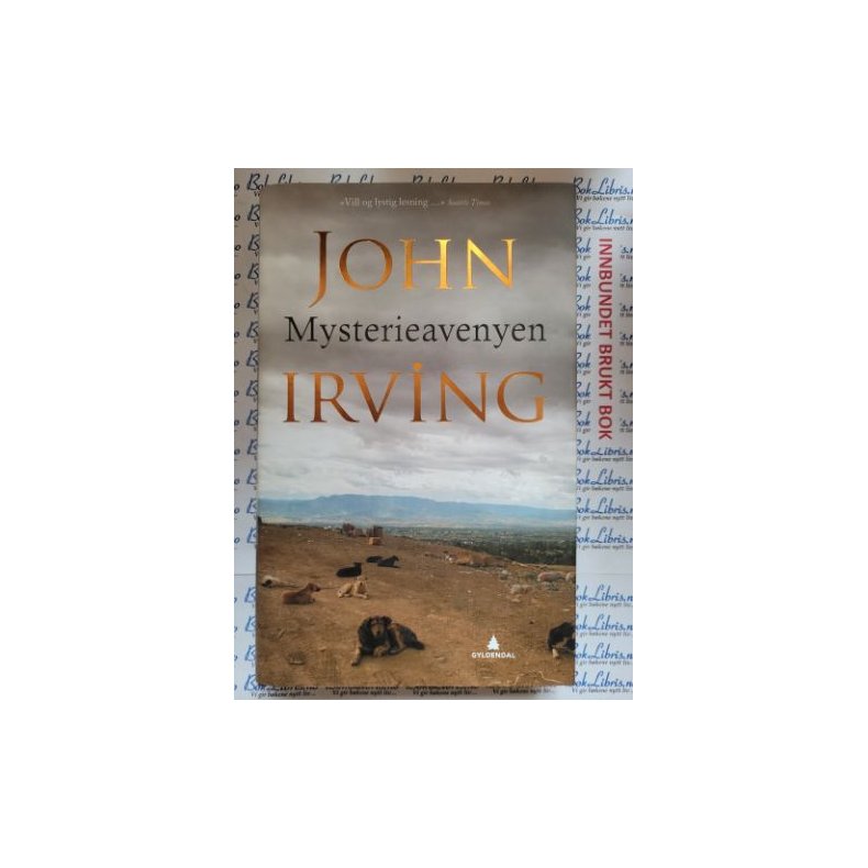 John Irving - Mysterieavenyen