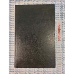 John Saul - Det andre barnet