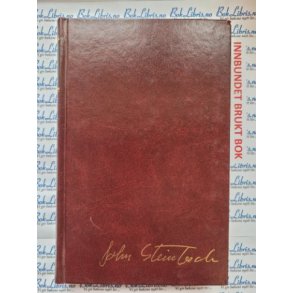 John Steinbeck - Til en ukjent gud