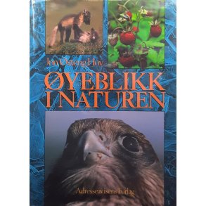 Jon �steng Hov - �yeblikk i naturen (Innbundet)
