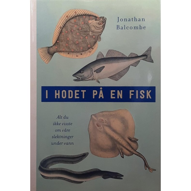 Jonathan Balcombe - I hodet p en fisk - alt du ikke visste om vre slektninger under vann