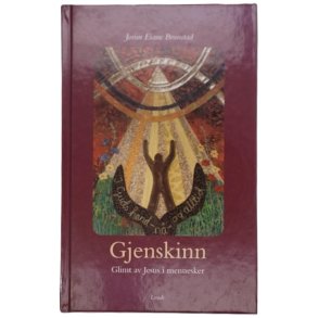 Jorun Eiane Brunstad - Gjenskinn - Glimt av Jesus i mennesker