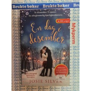 Josie Silver - En dag i desember - Heftet