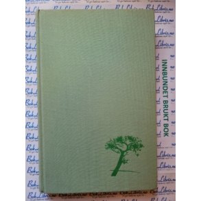 Juan Garcia Hortelano- Sommerstorm