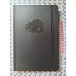 Kaja Nordengen - Hjernedagboka