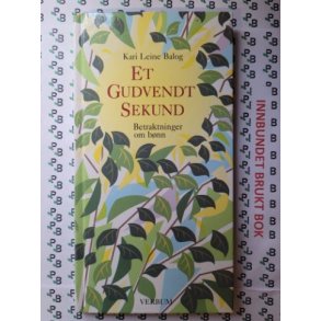 Kari Leine Balog - Et Gudvendt sekund - Betraktninger om bnn