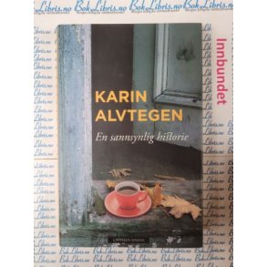 Karin Alvtegen - En sannsynlig historie