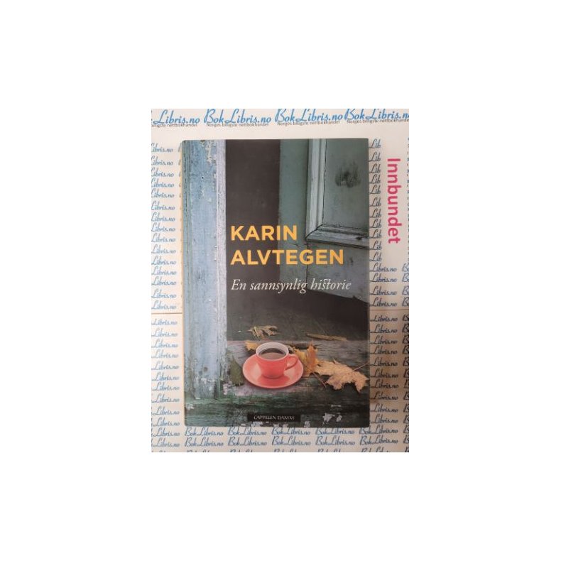 Karin Alvtegen - En sannsynlig historie