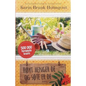 Karin Brunk Holmqvist - Hyt henger de og ste er de (Innb.)