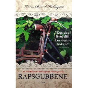 Karin Brunk Holmqvist - Rapsgubbene (Innbundet)