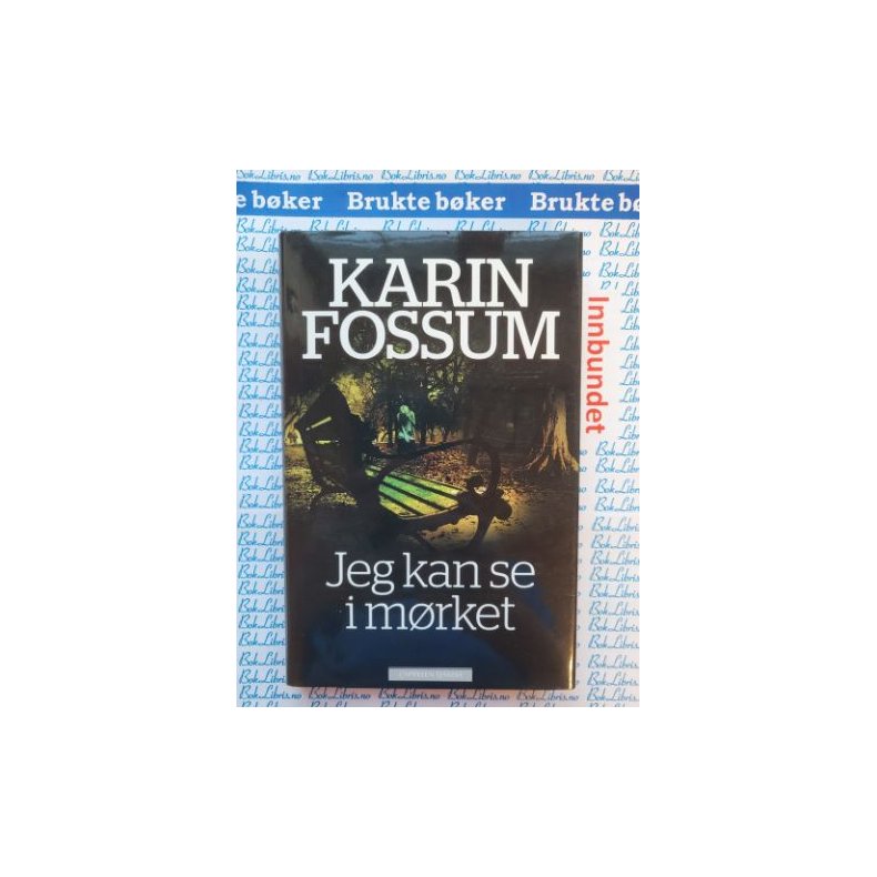 Karin Fossum - Jeg kan se i mrket