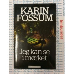 Karin Fossum - Jeg kan se i mrket
