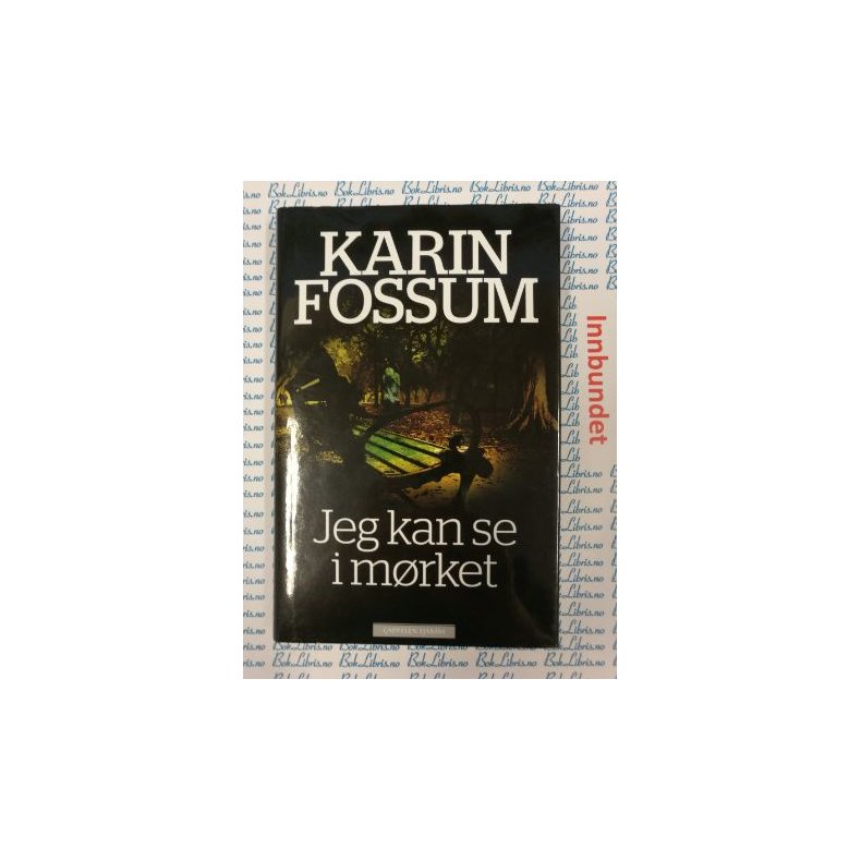 Karin Fossum - Jeg kan se i mrket