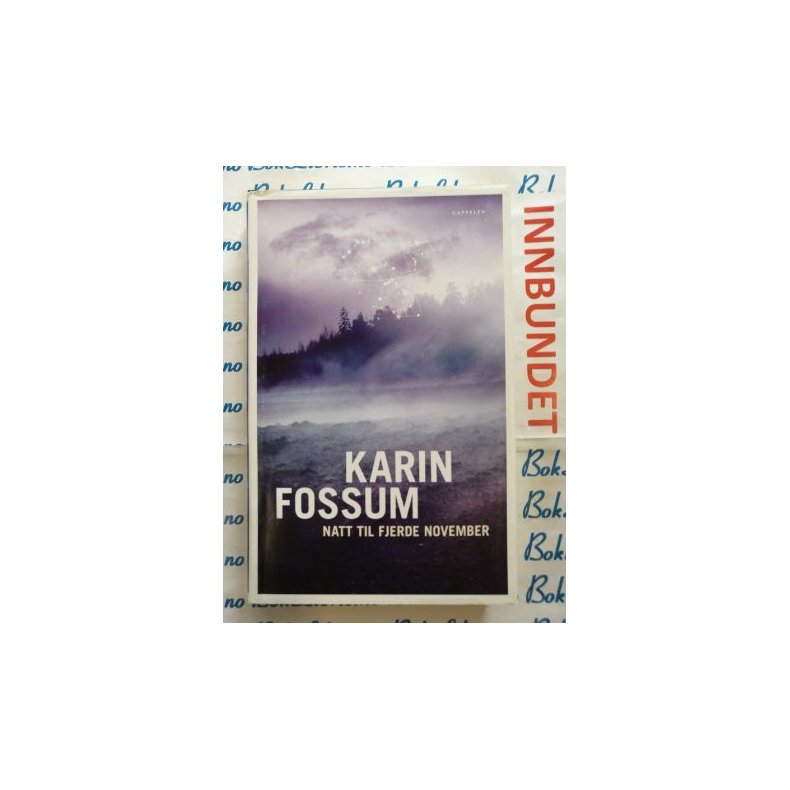 Karin Fossum - Natt til fjerde november (Innb)