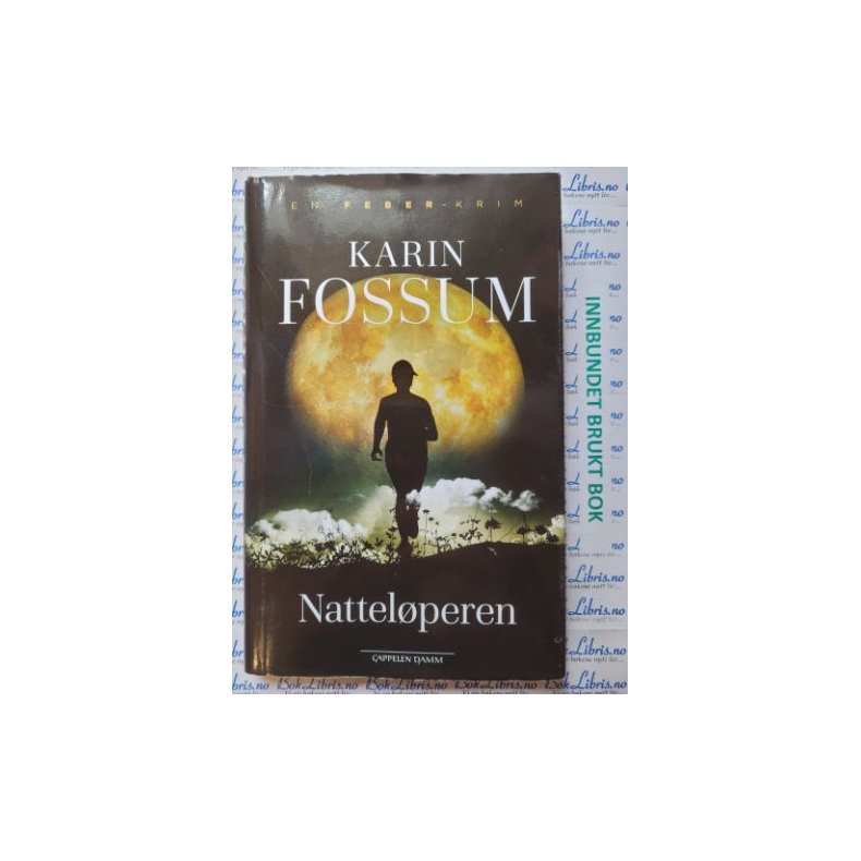 Karin Fossum - Nattelperen