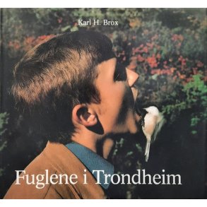 Karl H. Brox - Fuglene i Trondheim (Innbundet)