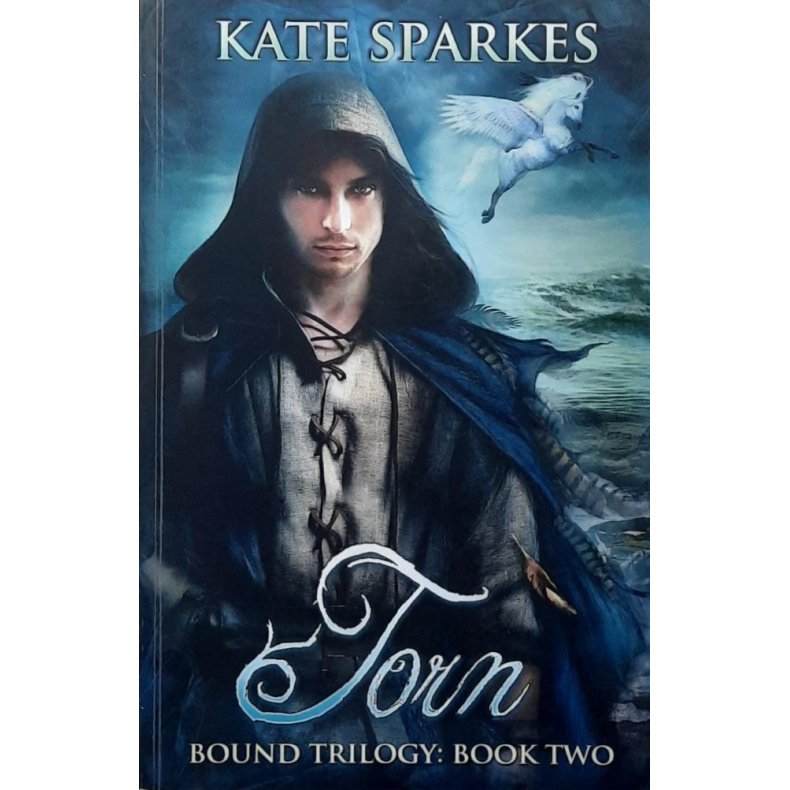 Kate Sparkes - Torn