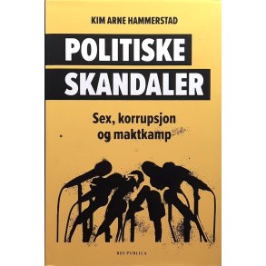 Kim Arne Hammerstad - Politiske skandaler - Sex, korrupsjon og maktkamp