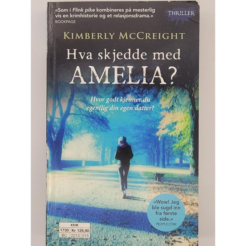 Kimberly McCreight - Hva skjedde med Amelia?