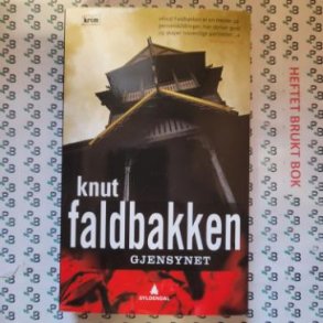 Knut Faldbakken - Gjensynet (Heftet)
