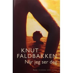 Knut Faldbakken - N�r jeg ser deg - Innbundet