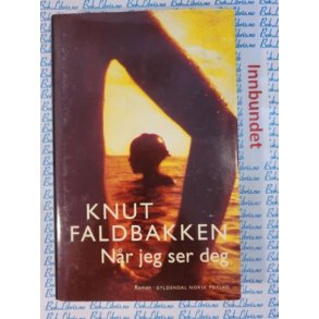 Knut Faldbakken - Nr jeg ser deg