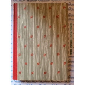 Konstantin Fedin - Unge gleder