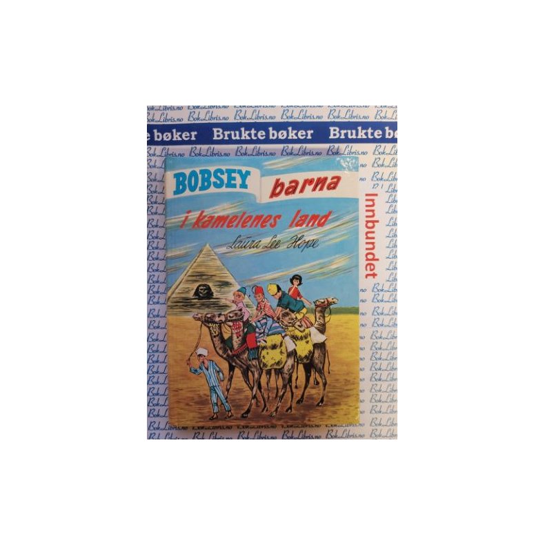 Laura Lee Hope - Bobsey-barna i kamelenes land 45