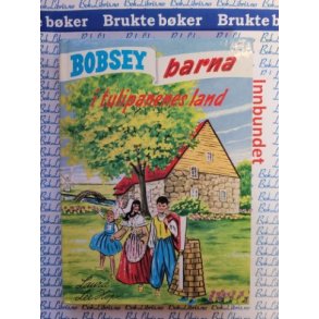 Laura Lee Hope - Bobsey-barna i tulipanenes land 43