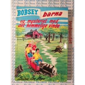 Laura Lee Hope - Bobsey-barna og mysteriet med det hemmelige vindu 36