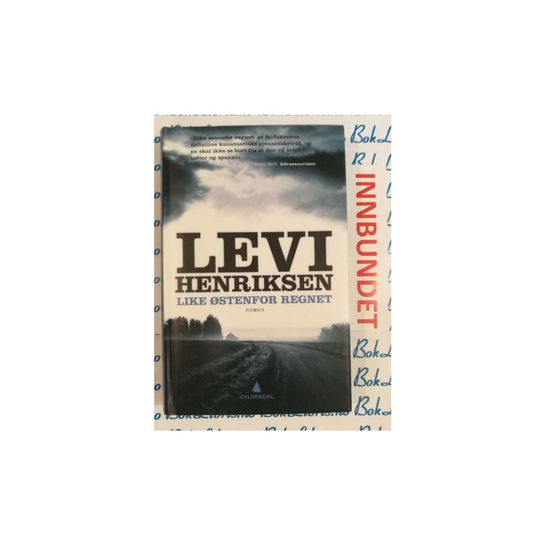 Levi Henriksen - Like stenfor regnet (I)