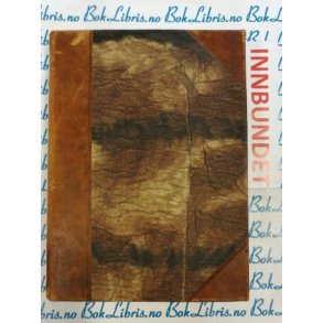 Lion Feuchtwanger - Jden fra Rom (I)