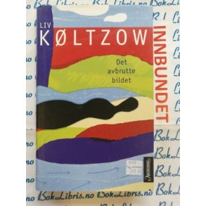 Liv Kltzow - Det avbrutte bildet