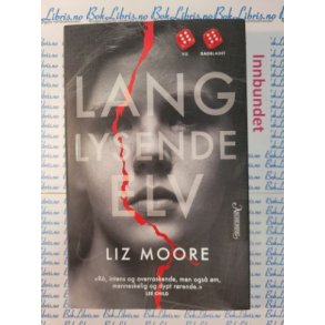 Liz Moore - Lang lysende elv