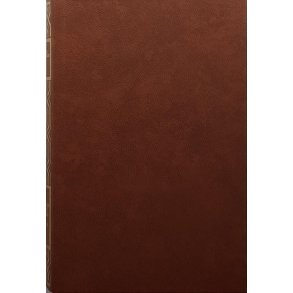 Louis Masterson - Morgan Kane-serien 53-54