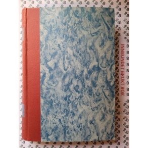 Ludvig Sndergaard - Bare en eske fyrstikker Bind I