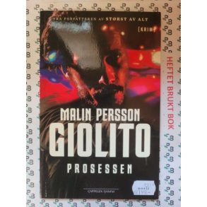 Malin Persson Giolito - Prosessen