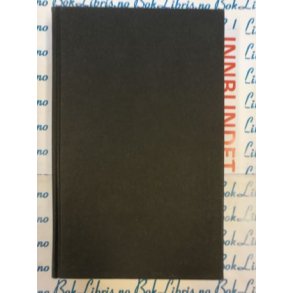 Marge Piercy - En fantastisk mann