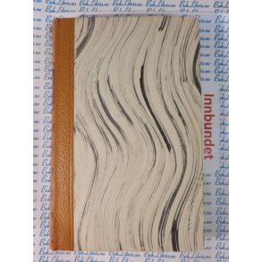 Margit Sderholm - Fortidens skygge I