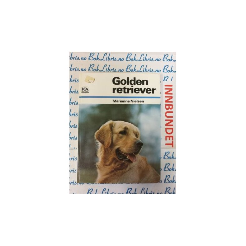 Marianne Nielsen - Golden retriever (I)