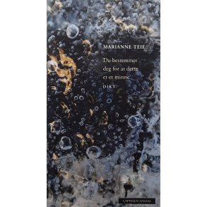 Marianne Teie - Du bestemmer deg for at dette er et minne