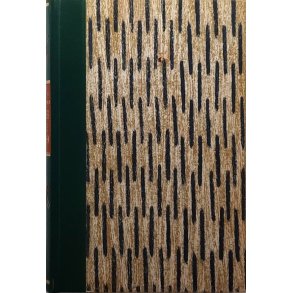 Marie Hamsun - Under Gullregnen (Innbundet)