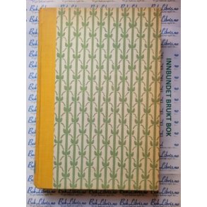 Marie Killilea - Karen En mors seierrike kamp (Innb)