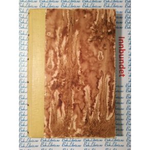 Marie Lange - En pilegrim skriver p maskin