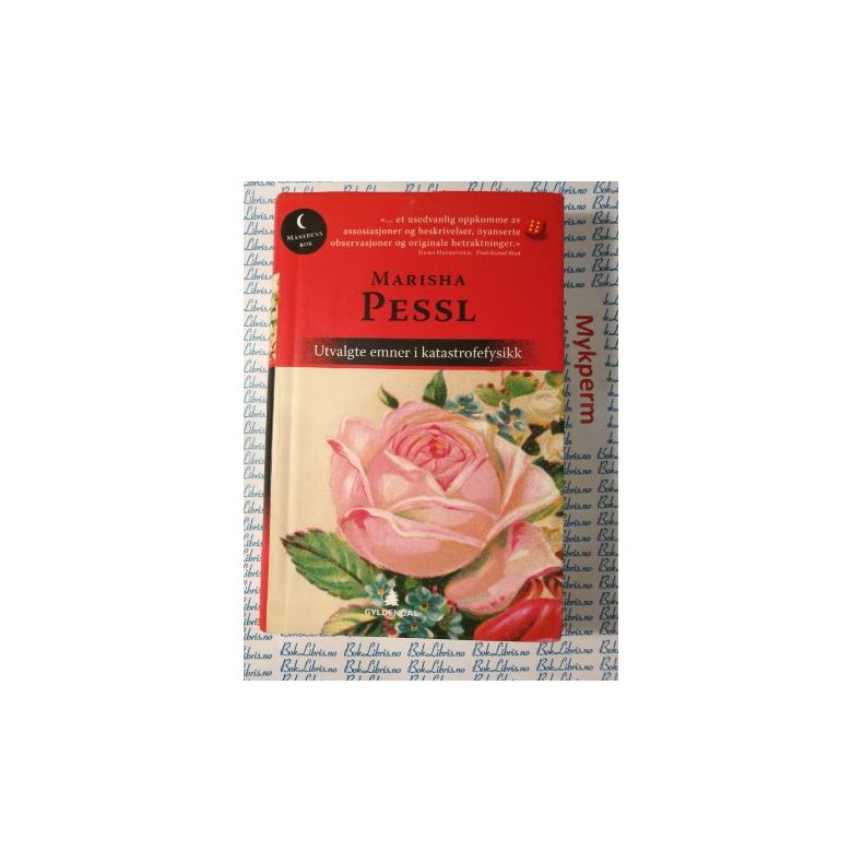 Marisha Pessl - Utvalgte emner i katastrofefysikk